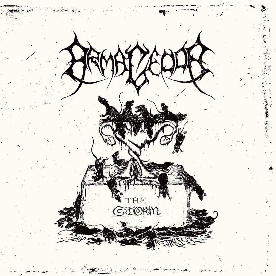 Armagedda return with The Storm, a new 7″ EP